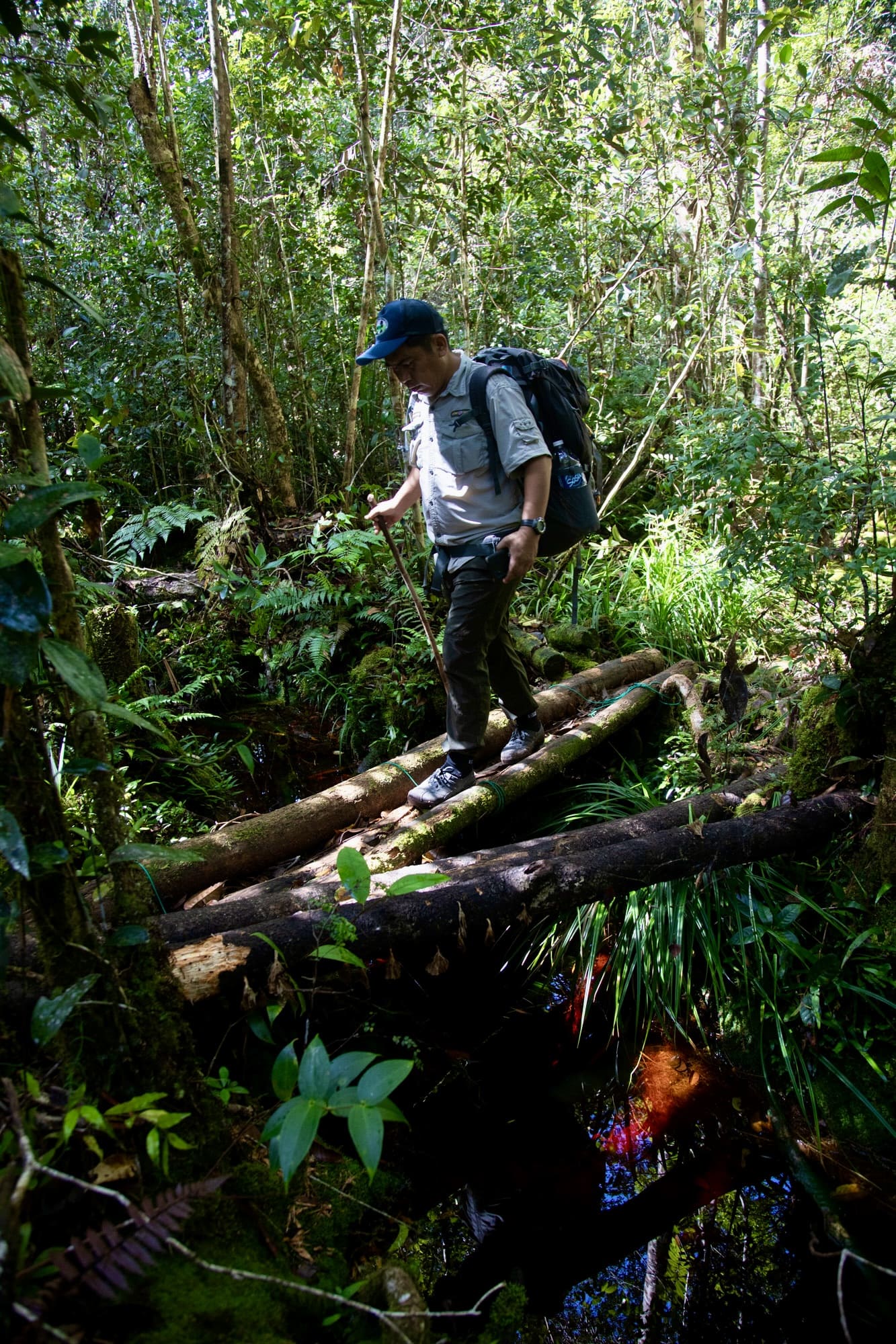 Maliau Basin tropical rainforest landscape