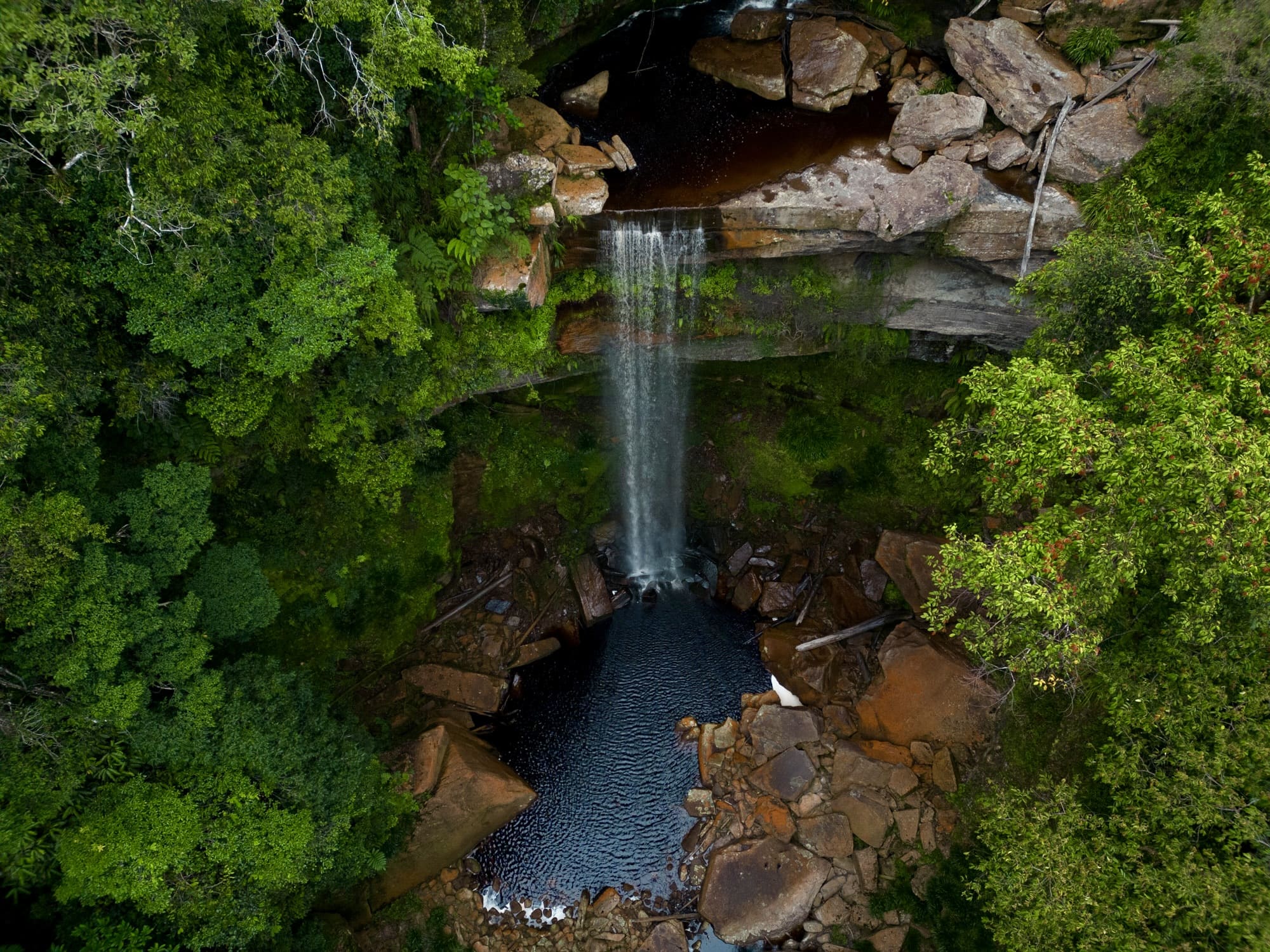 Aerial view of Maliau Basin rainforest canopy