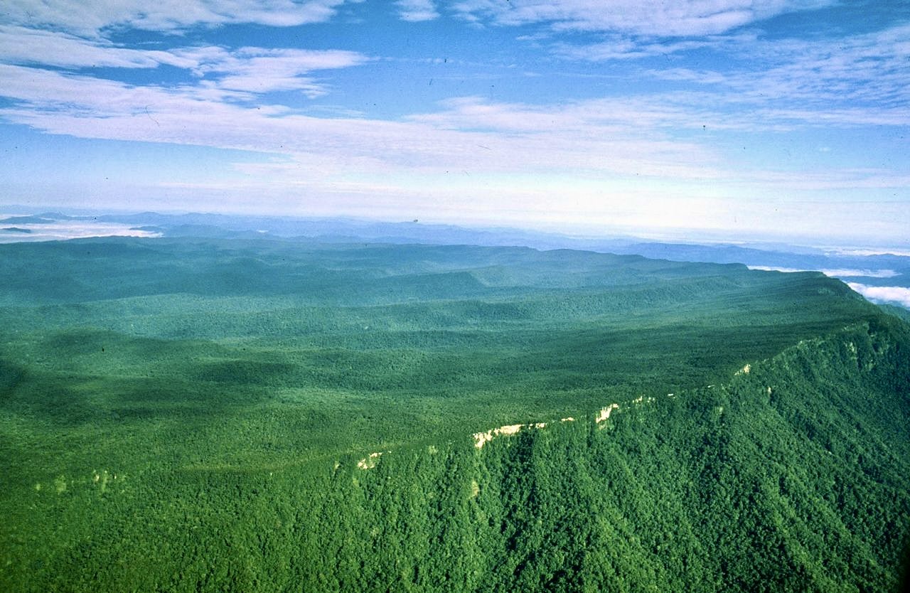 Maliau Basin tour guests during rainforest expedition