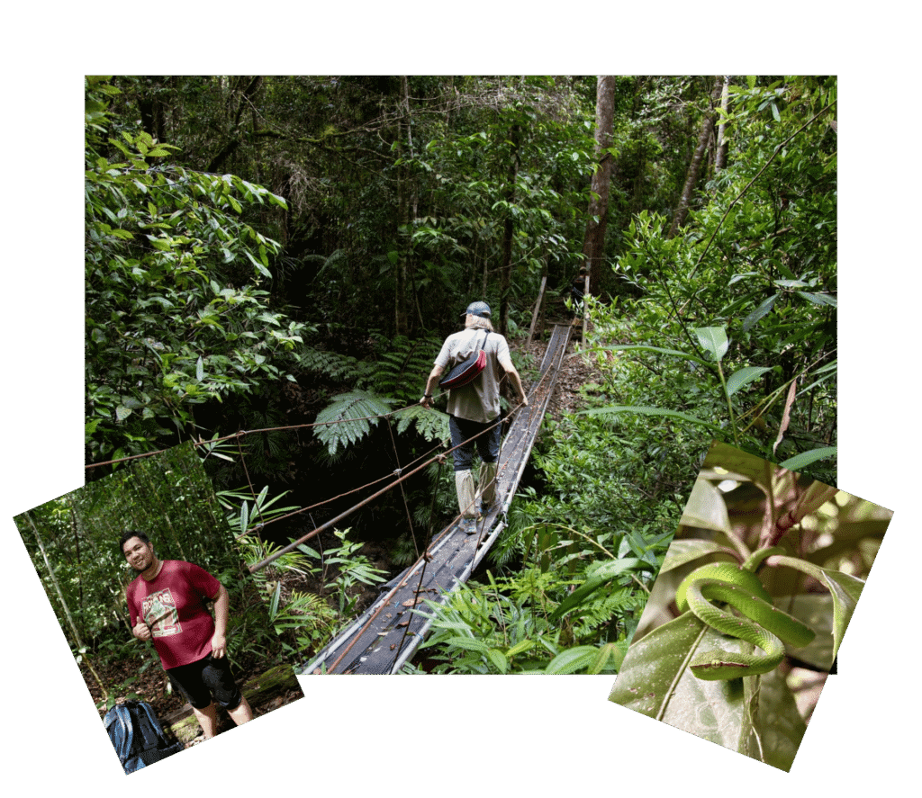 Maliau Basin eco adventure promotional graphic