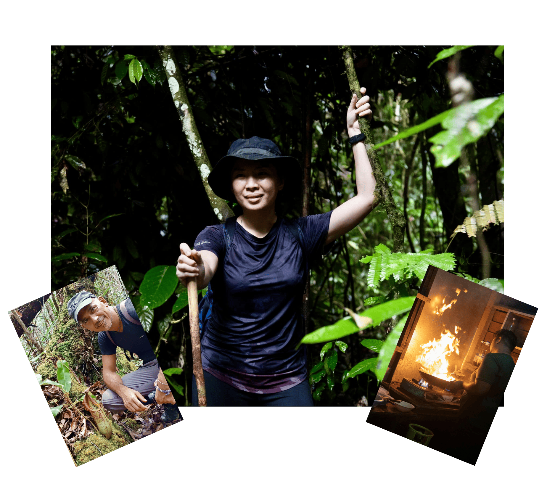 Maliau Basin jungle exploration graphic